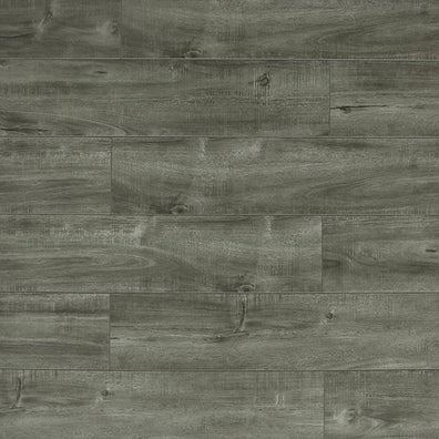 Toucan – Embossed In Register – TF6313-F– 12.3mm Laminate Flooring